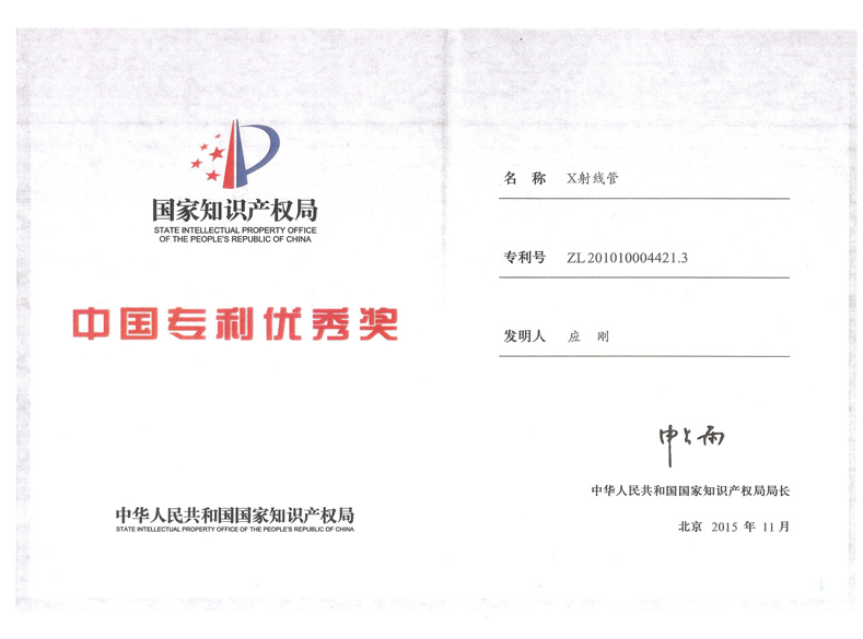 中国专利优秀奖
